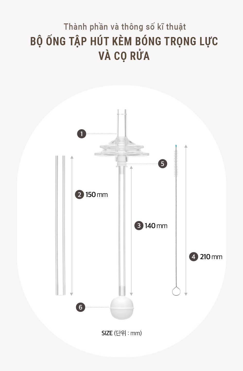 BỘ ỐNG TẬP HÚT KÈM BÓNG TRỌNG LỰC VÀ SET CỌ RỬA SPECTRA - ảnh phụ