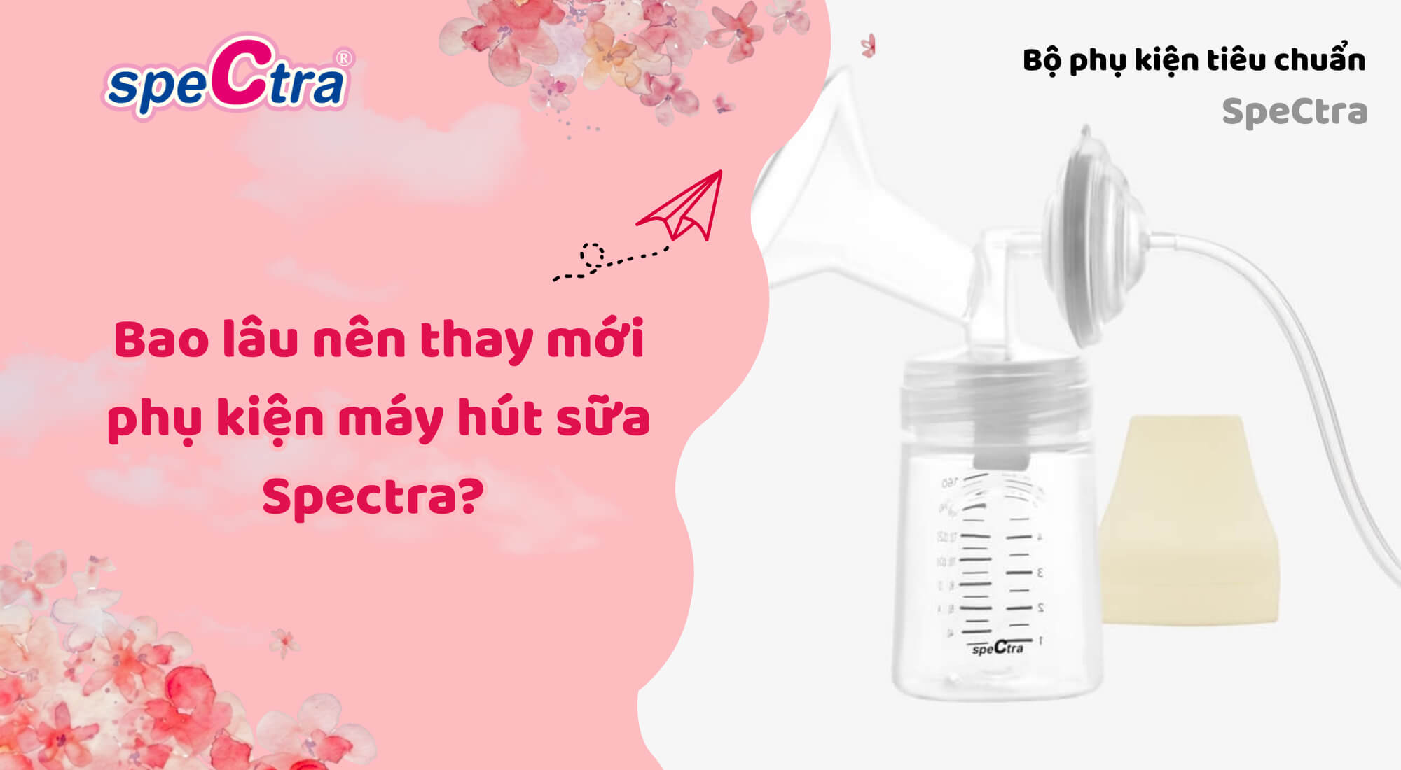 Bao lâu nên thay phụ kiện máy hút sữa Spectra? (Mới 2026)
