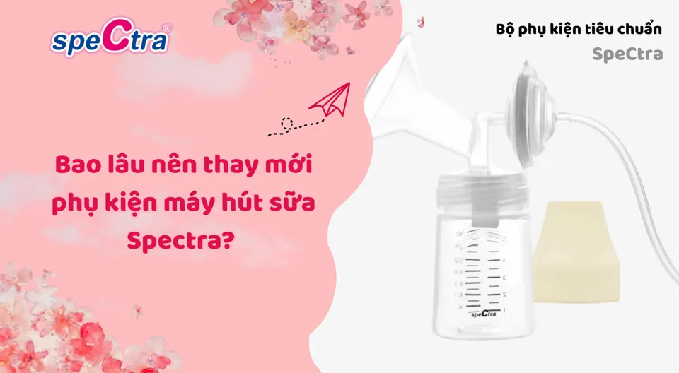 Bao lâu nên thay phụ kiện máy hút sữa Spectra? (Mới 2026)