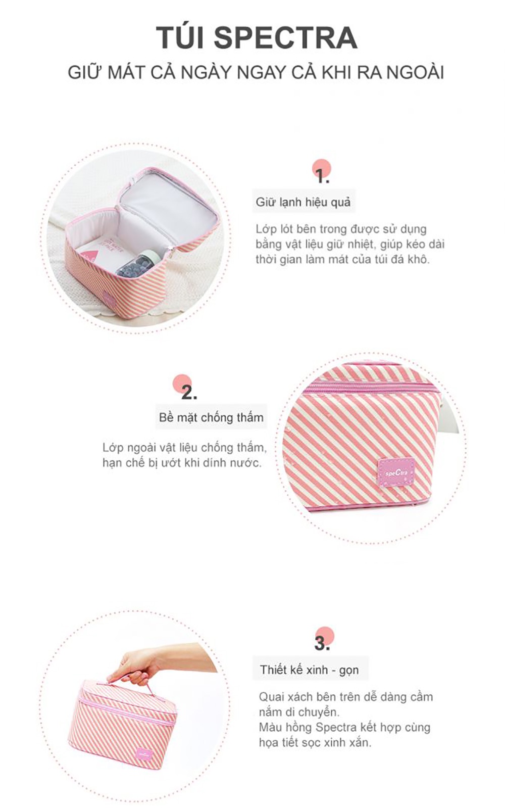 BỘ TÚI VẢI TRỮ LẠNH SPECTRA - ảnh phụ