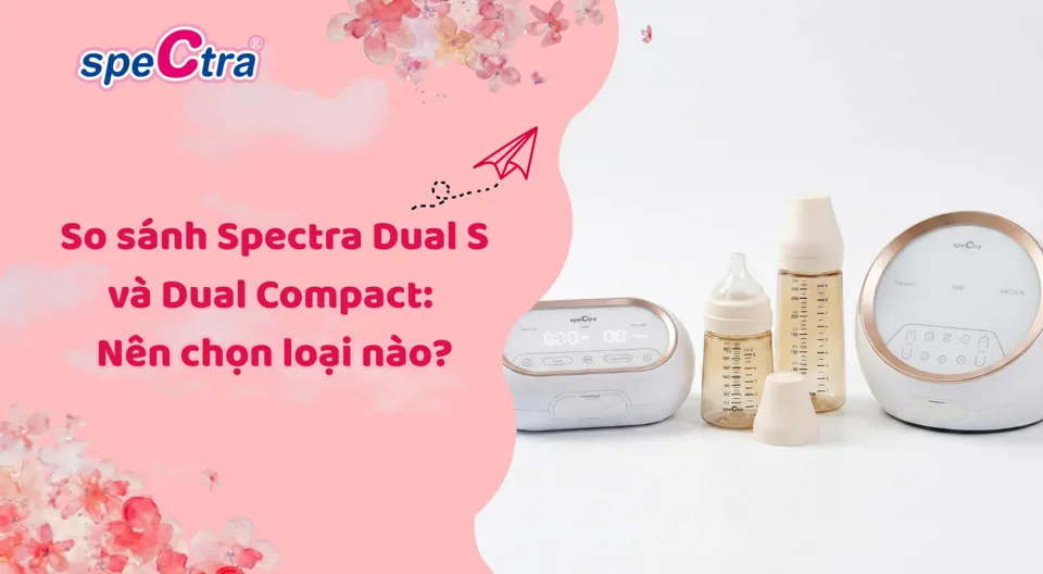 So sánh Spectra Dual S và Dual Compact: Nên chọn loại nào?