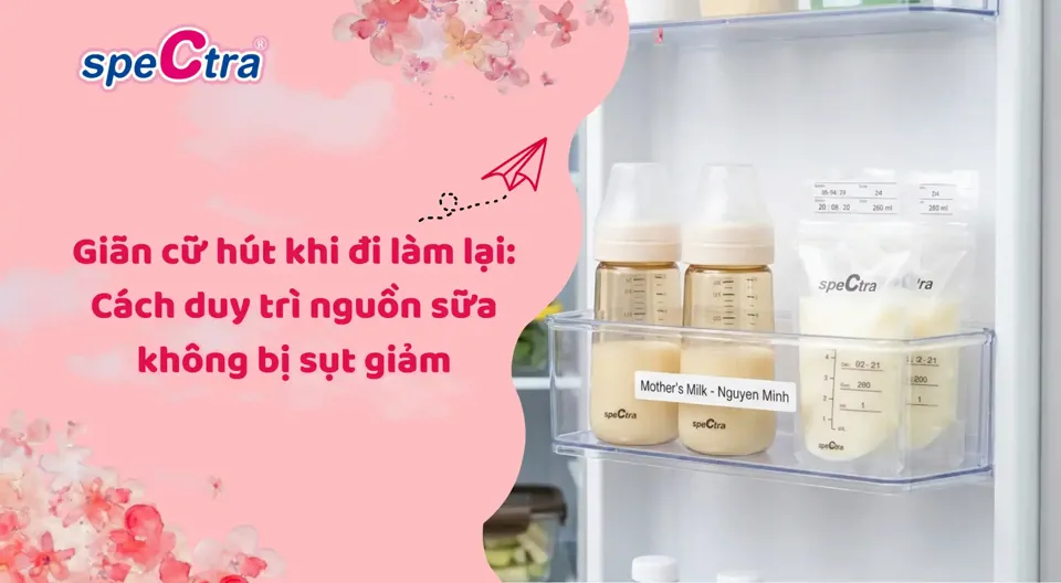 Giãn cữ hút khi đi làm lại: Cách duy trì nguồn sữa không bị sụt giảm