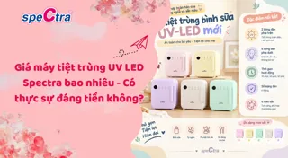 Giá máy tiệt trùng UV LED Spectra bao nhiêu - Cập nhật 2026