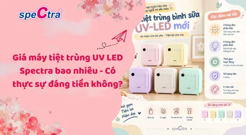 Giá máy tiệt trùng UV LED Spectra bao nhiêu - Cập nhật 2026