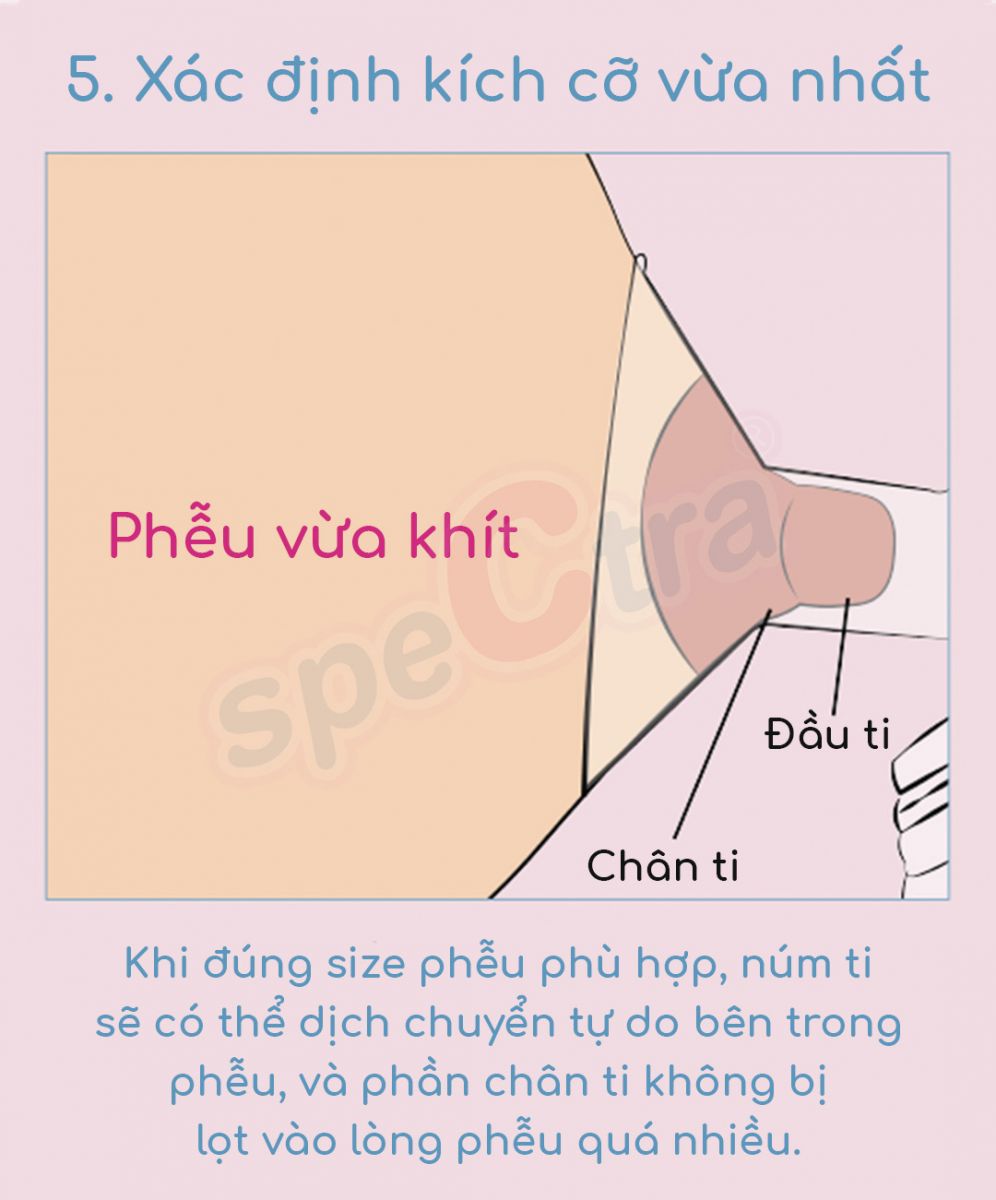 cach-do-size-pheu-may-hut-sua-spectra
